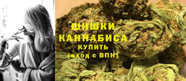 прущие крисы Новозыбков