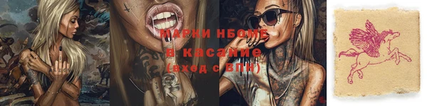СК Новокубанск