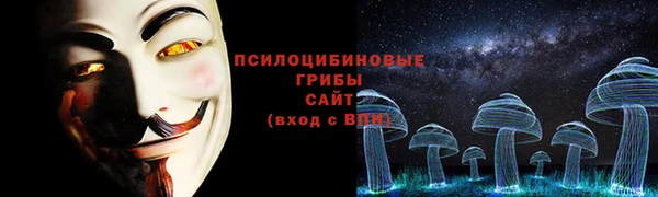 гидра Болотное