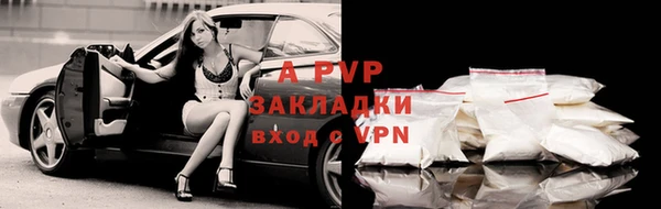 стаф Нефтекумск