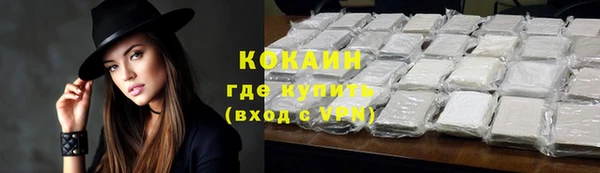 прущие крисы Новозыбков