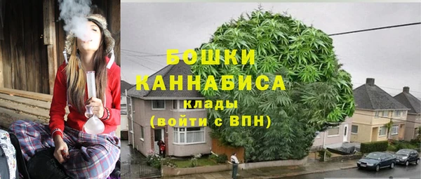 прущие крисы Новозыбков