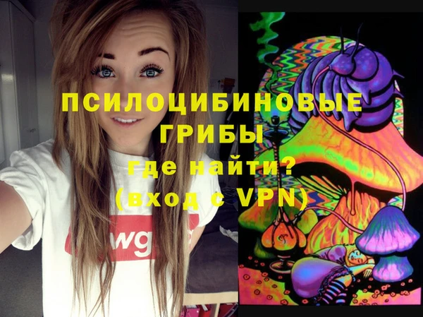 бошки Новодвинск