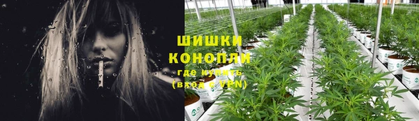 СК Новокубанск