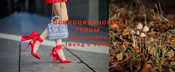 СК Новокубанск