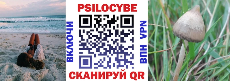 купить наркотики цена  Кировград  Галлюциногенные грибы GOLDEN TEACHER 